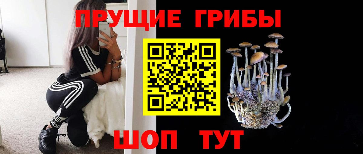 Псилоцибиновые грибы ЛСД Балашиха